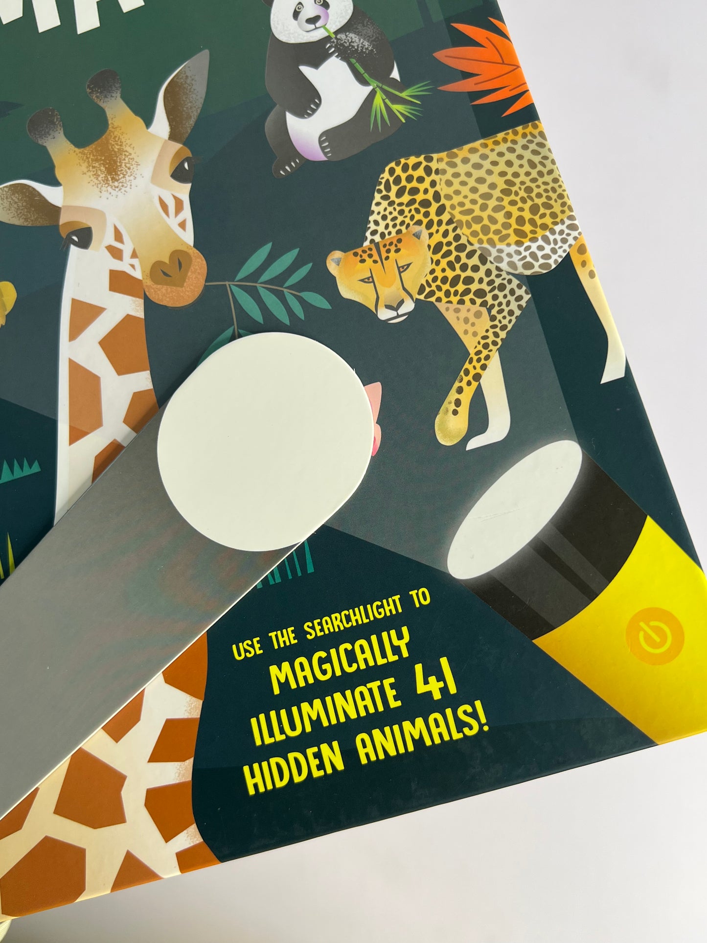 Seek And Find Torch Books-Boardbooks