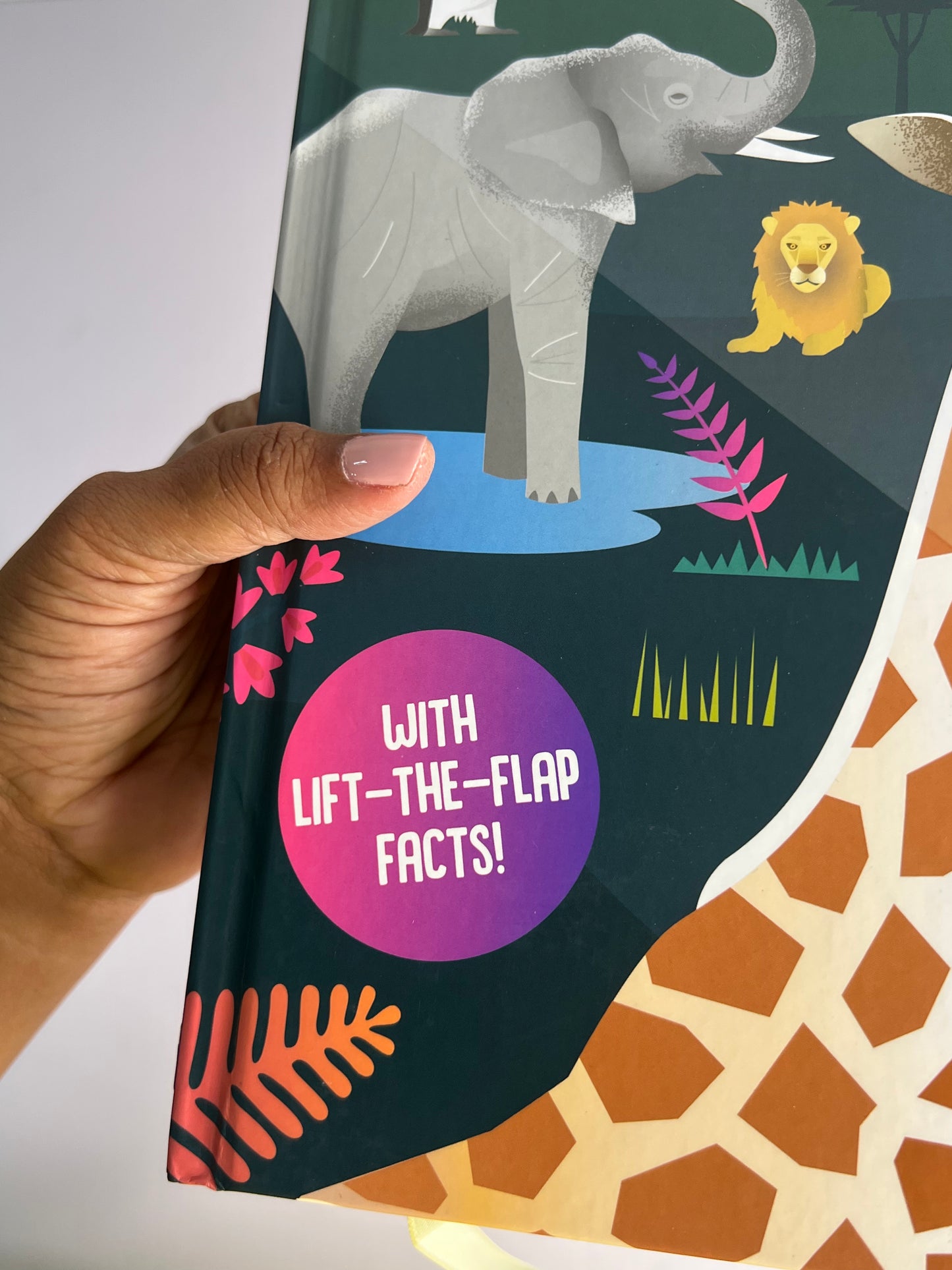 Seek And Find Torch Books-Boardbooks