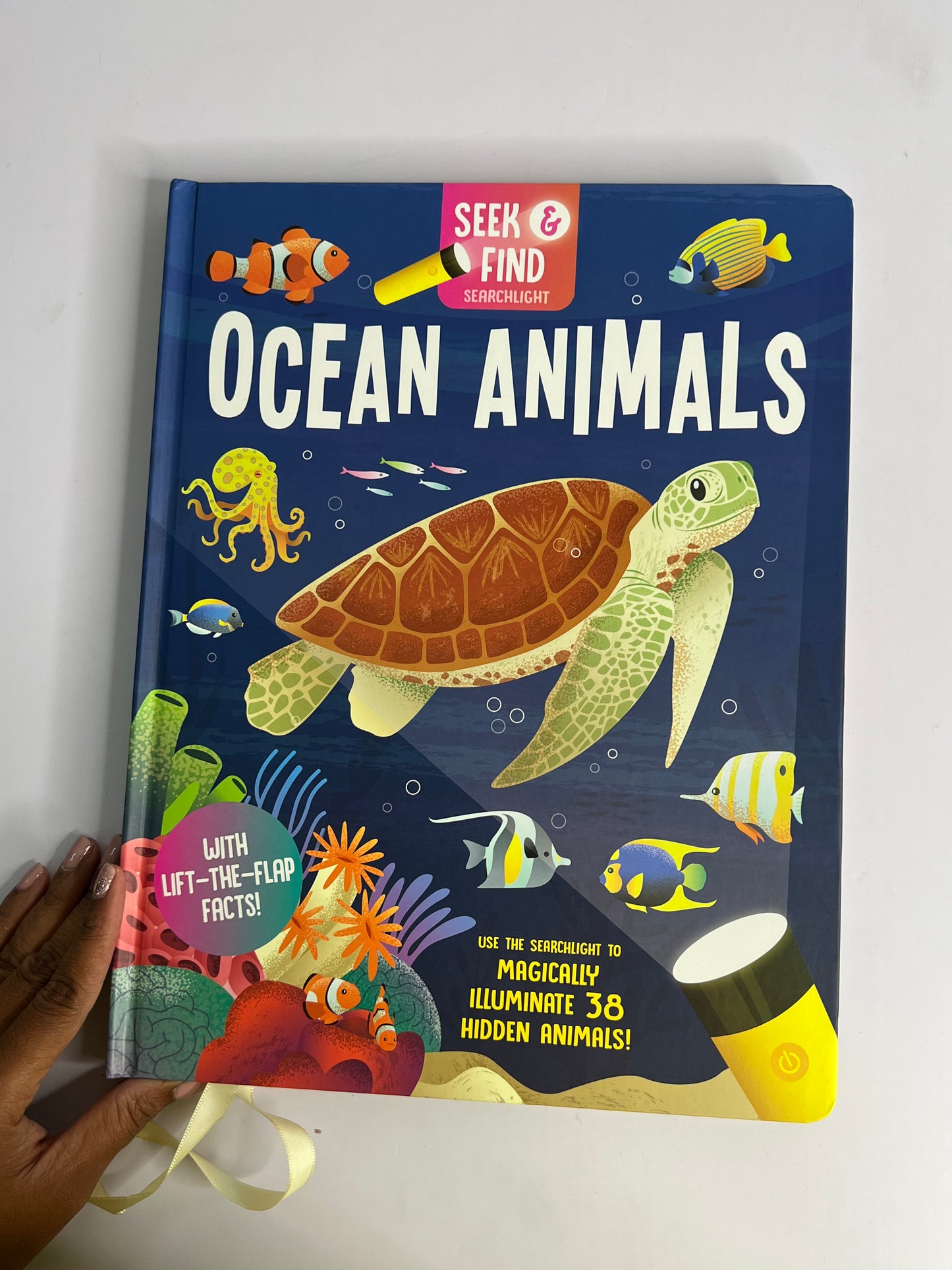 Seek And Find Torch Books-Boardbooks