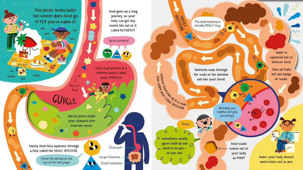 Usborne Step inside Science Your Body- BOARDBOOK