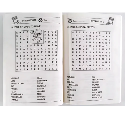 Brain Games For Clever Kids