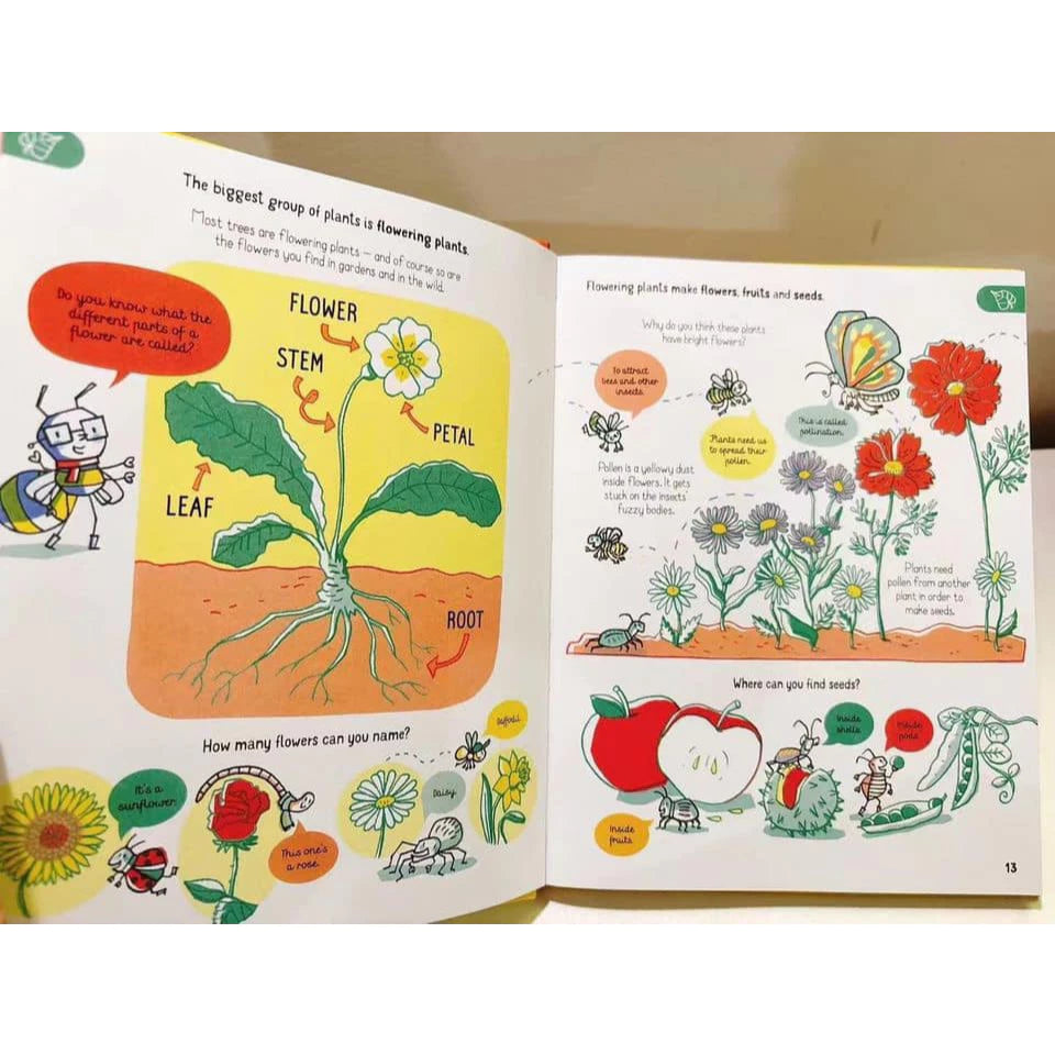 Usborne All You Need To Know (Hardcover)