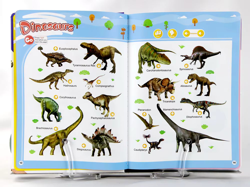 English Words Sound Book (Hardcover)