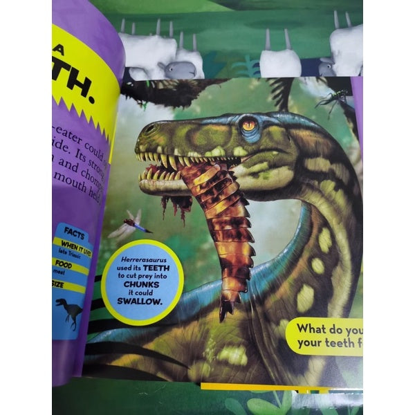 National Geographic First Big Book Collection (Paperback)