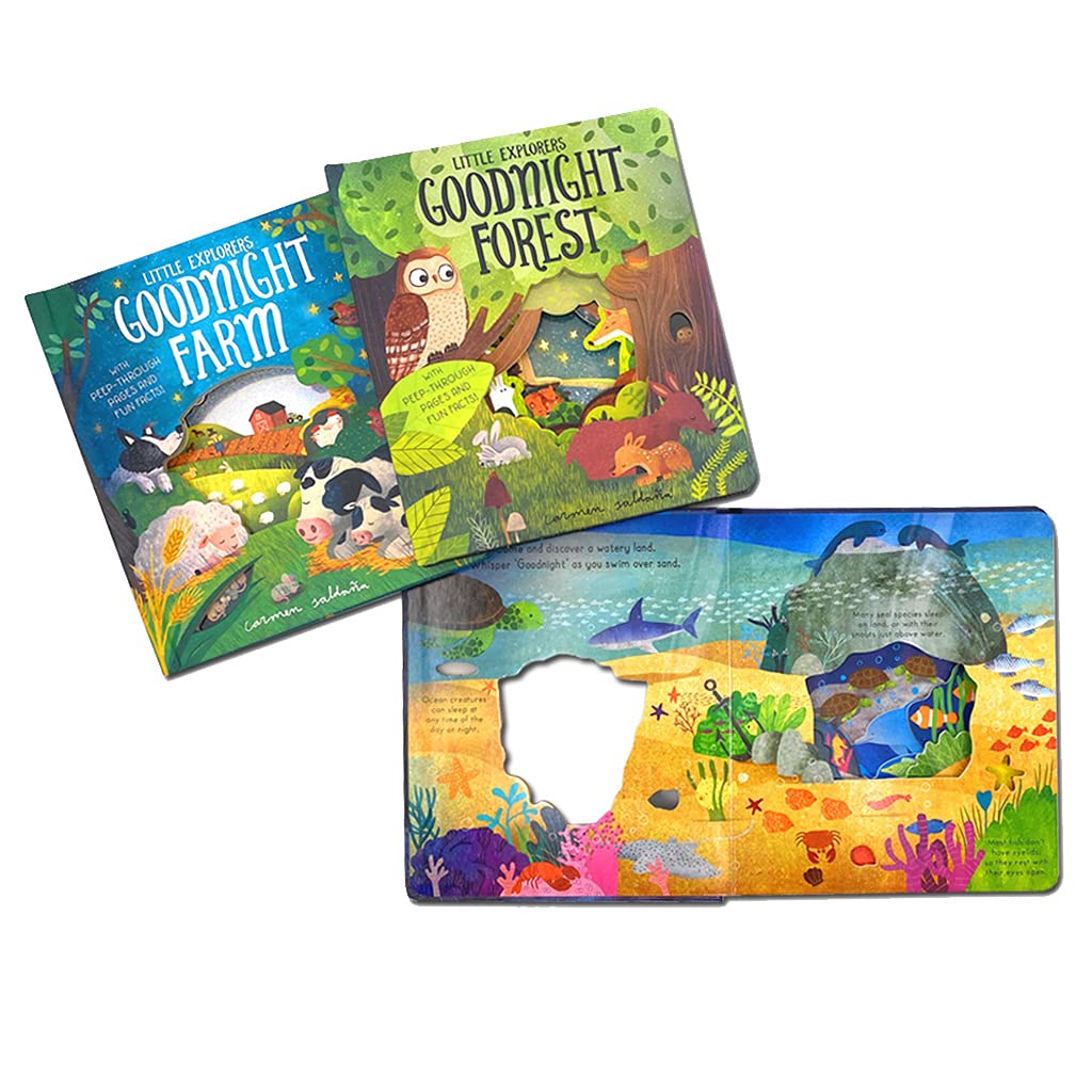 Little Explorers Goodnight World- Boardbooks