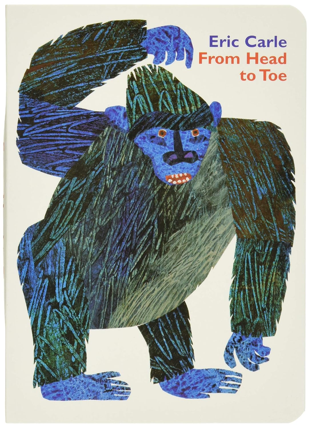 From Head To Toe (Boardbook)