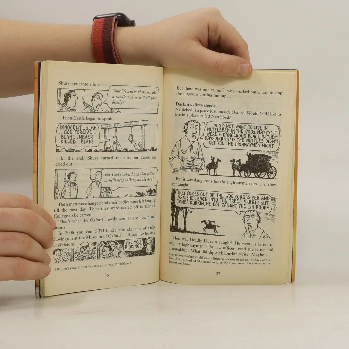 Horrible Histories boxed collection for young history readers