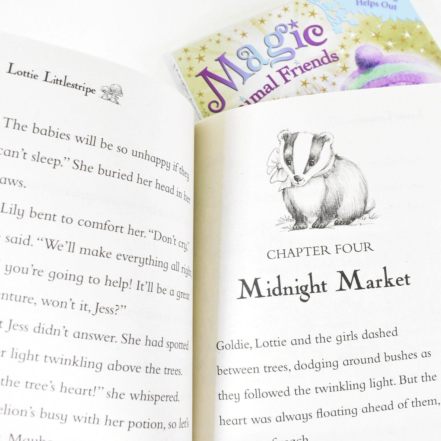 Magic Animal Friends