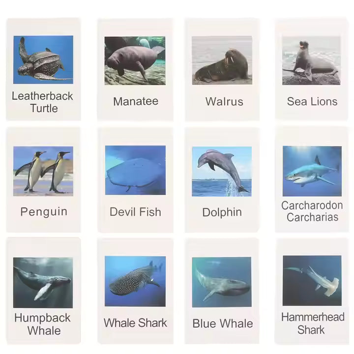 Montessori Animal Matching & Sorting Game – Educational Shape Language Cards and Animal Figurines
