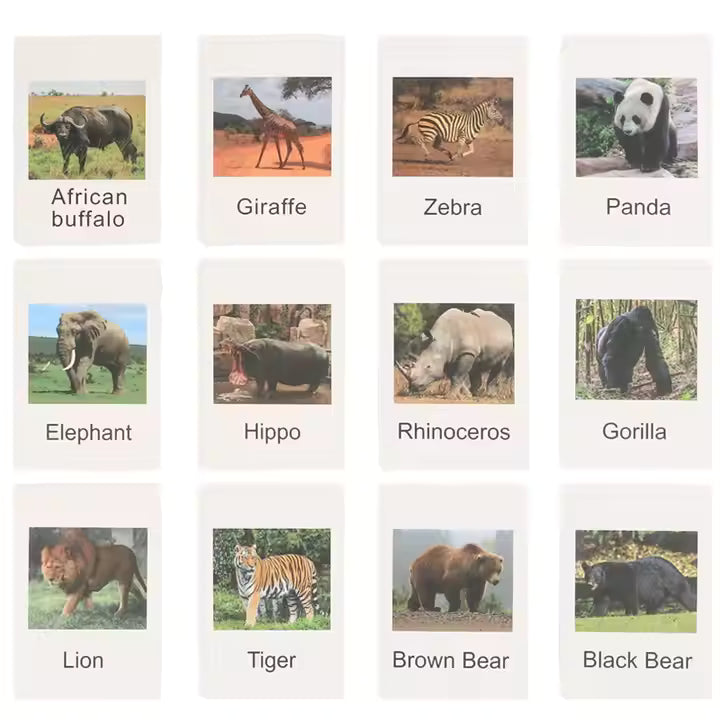 Montessori Animal Matching & Sorting Game – Educational Shape Language Cards and Animal Figurines