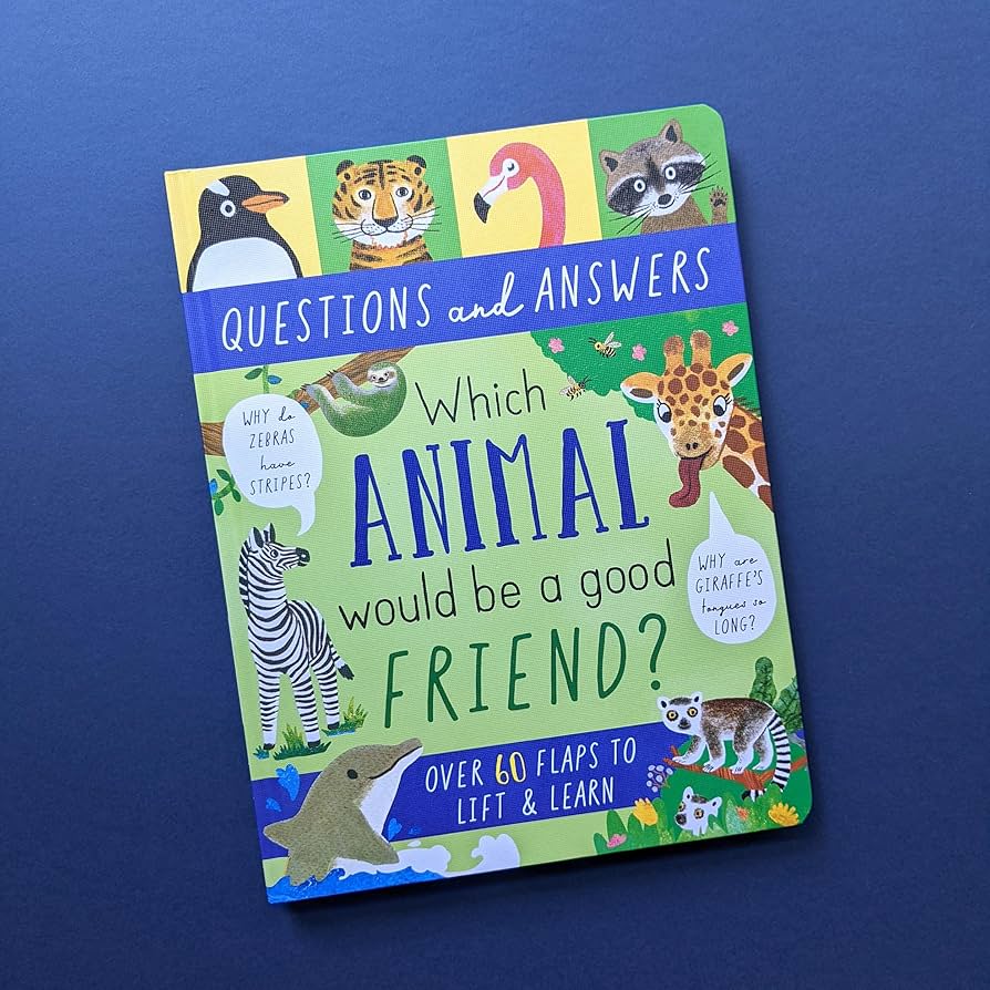 Usborne Questions And Answers-Boardbook Lift The Flap