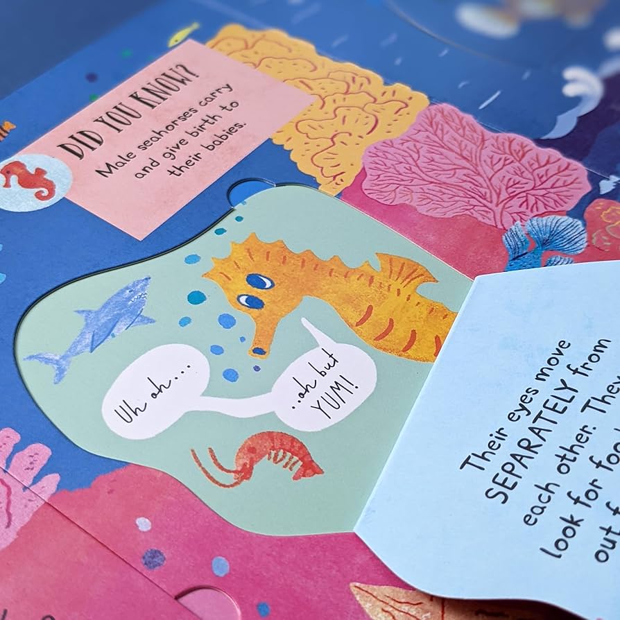 Usborne Questions And Answers-Boardbook Lift The Flap