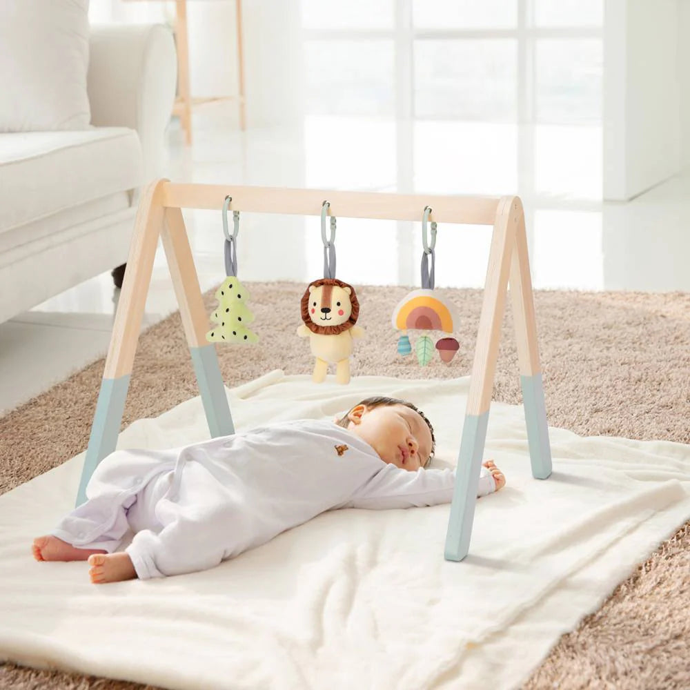 Tooky wooden gym fo baby