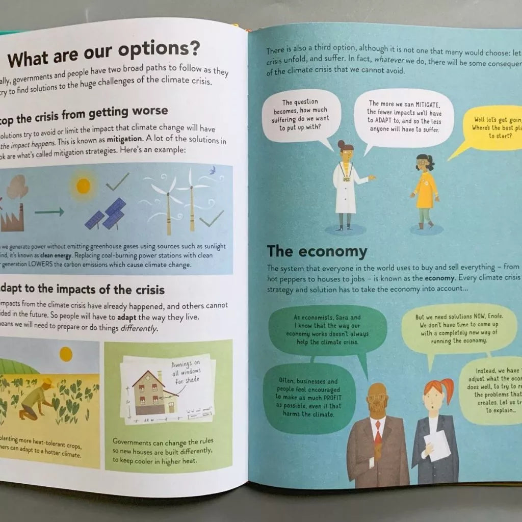 Usborne Big Subjects For Beginners (Hardcover)