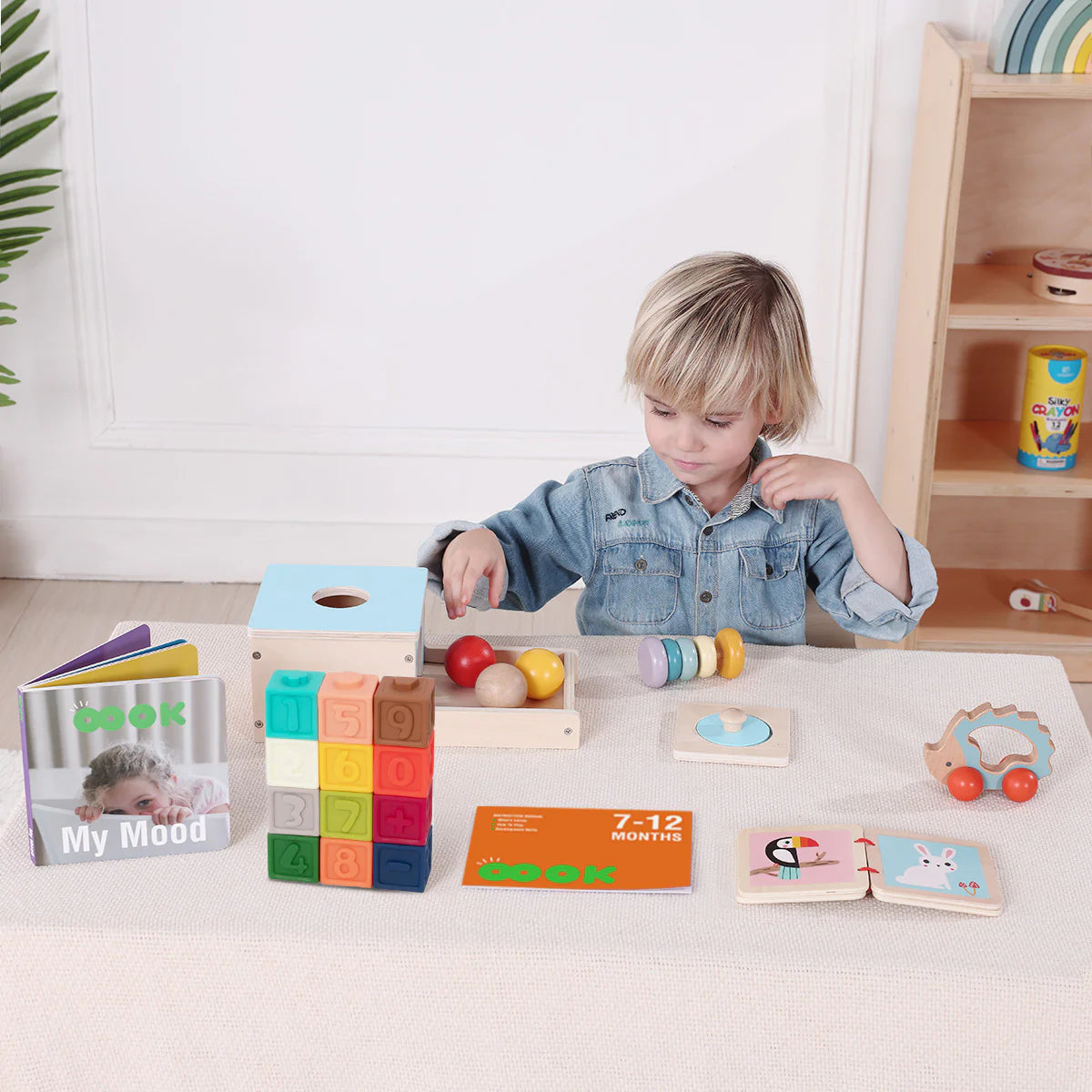 7-12 Months Educational Box