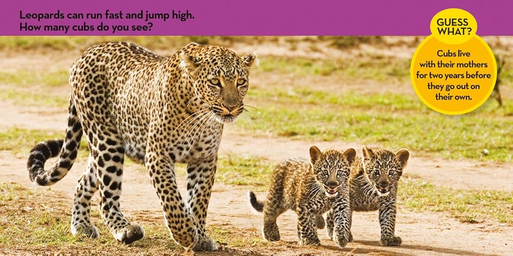 National Geographic Kids Look & Learn Collection | 12 First Learning Board Books | Real Animal & Nature Books for Toddlers