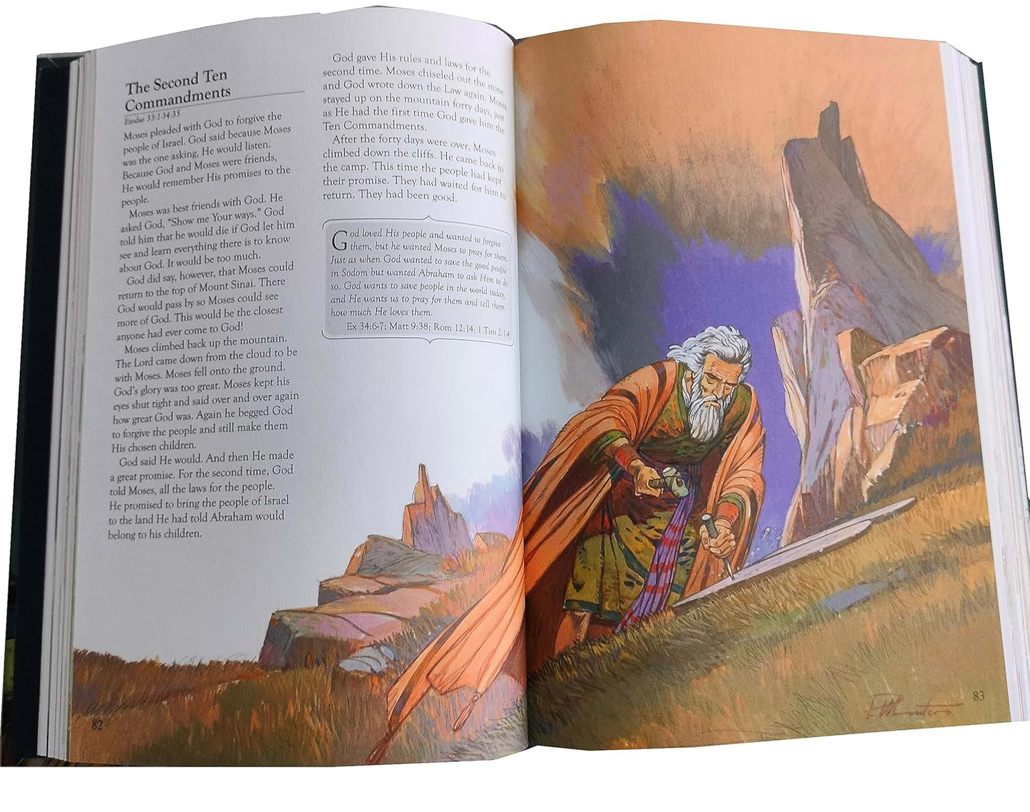 The Devotional Children's Bible- HardCover