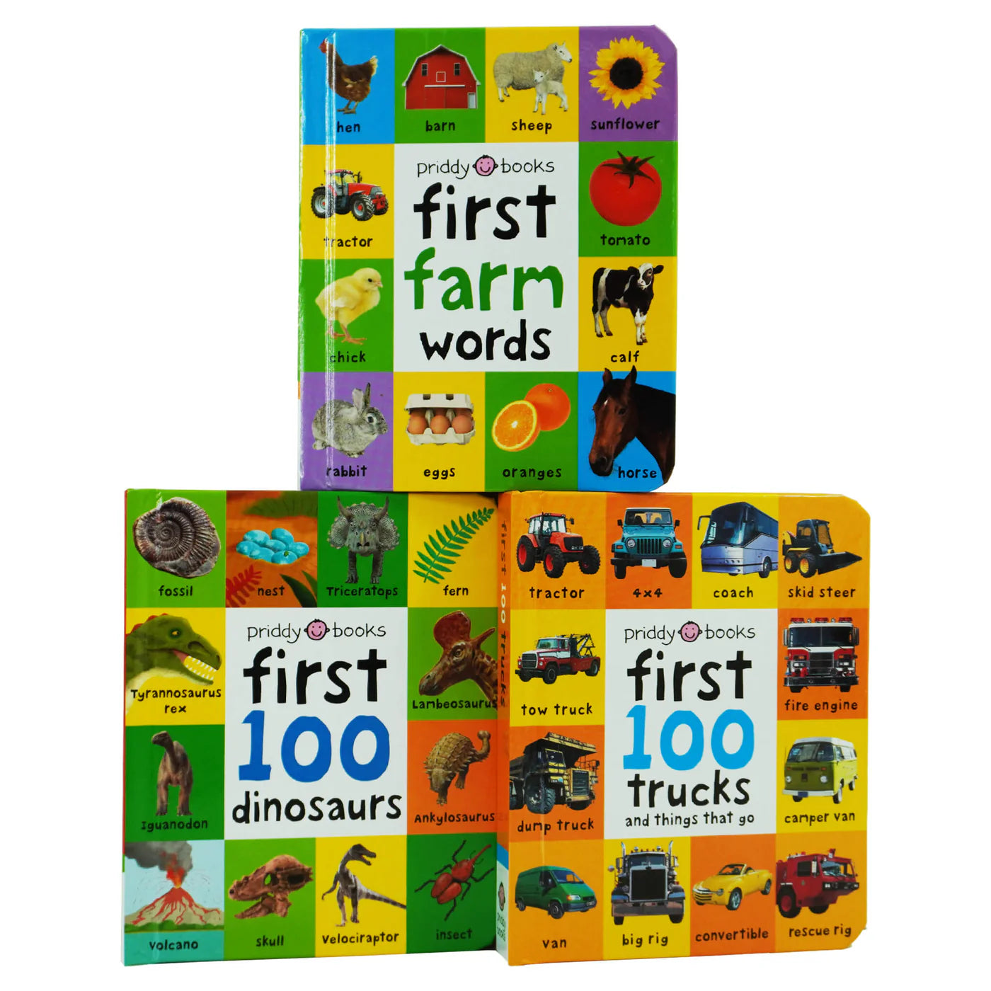 First 100 Series Box Set Children Collection  By Roger Priddy- Boardbooks