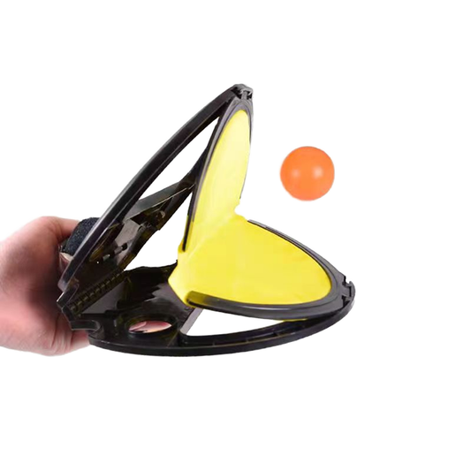 Handheld Ball Toss Game Set
