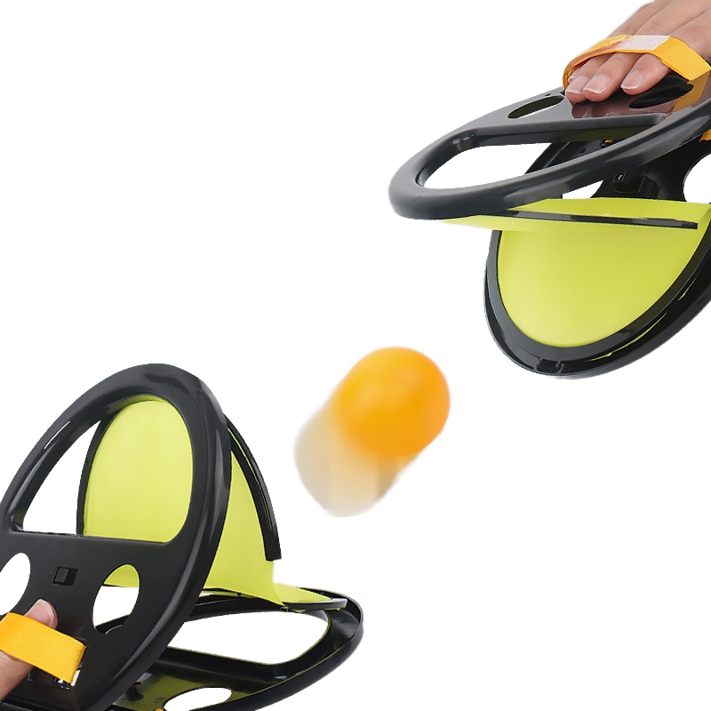 Handheld Ball Toss Game Set
