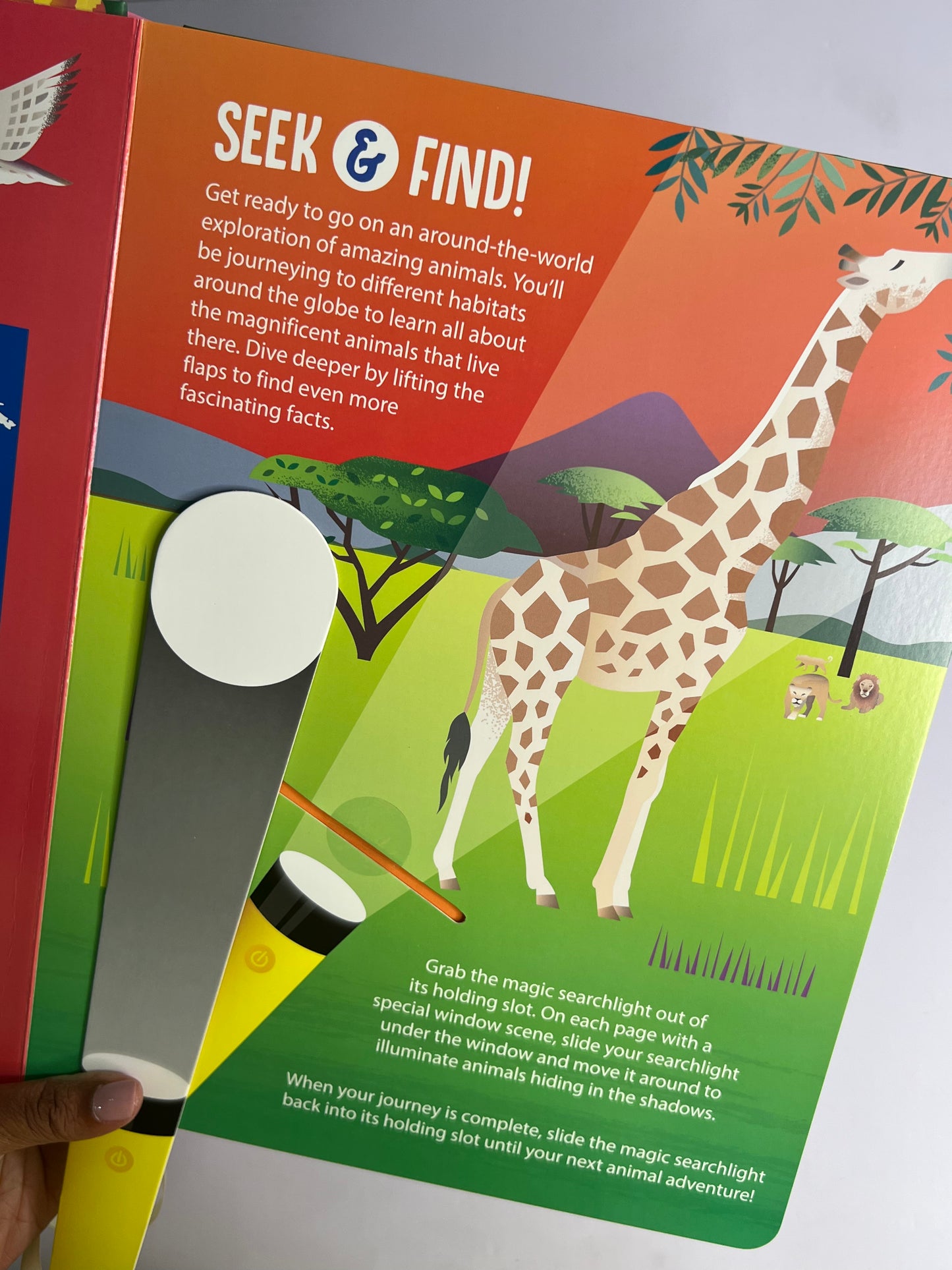 Seek And Find Torch Books-Boardbooks