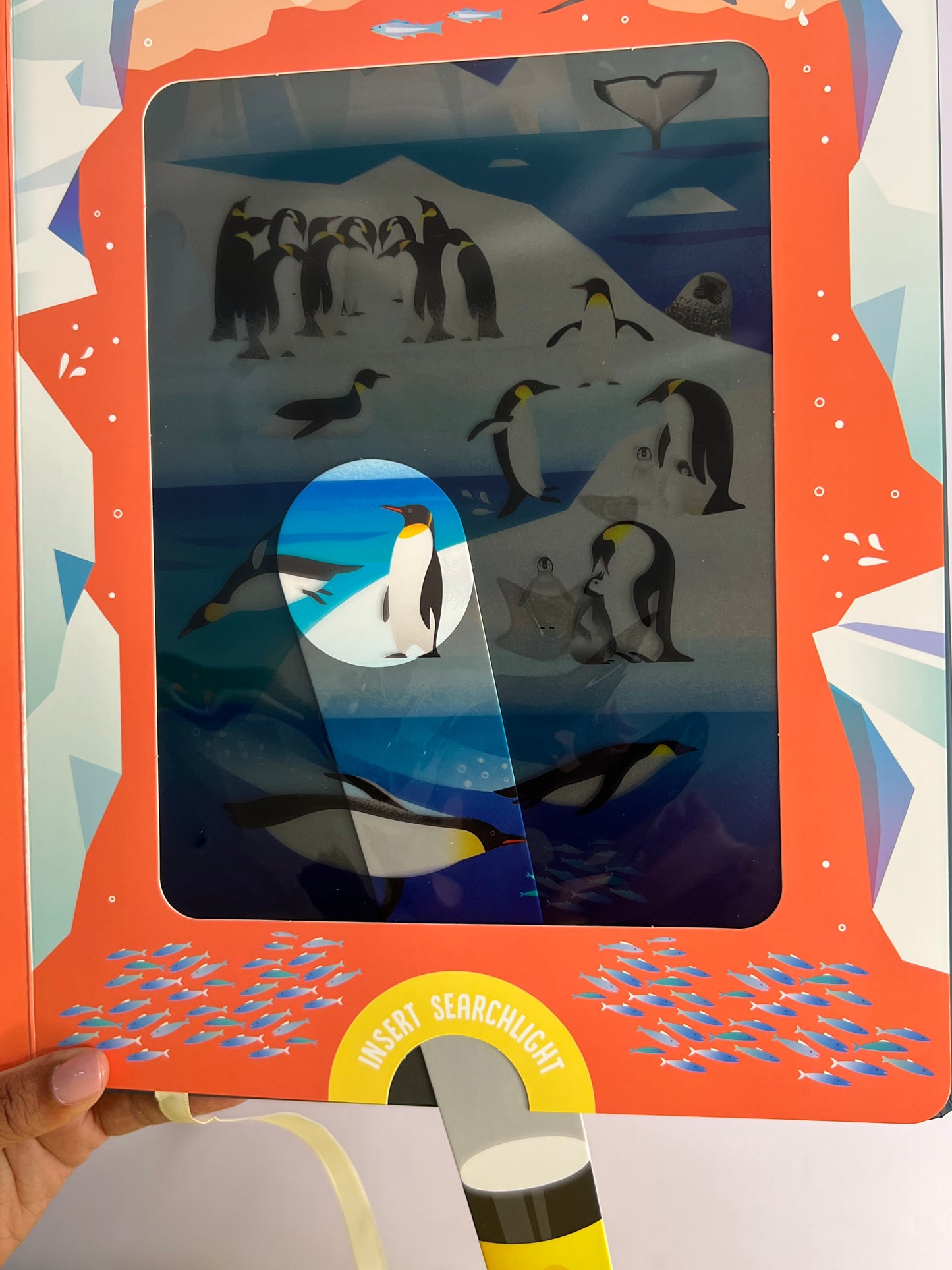 Seek And Find Torch Books-Boardbooks
