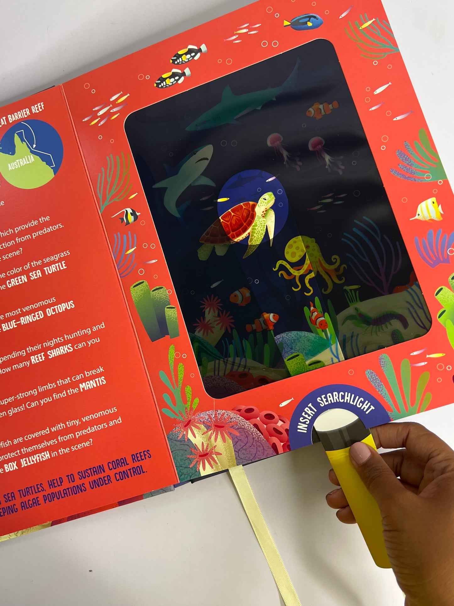 Seek And Find Torch Books-Boardbooks