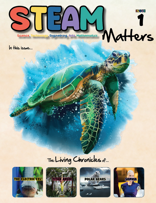 Steam Matters (Paperback)