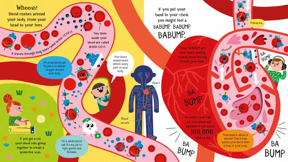 Usborne Step inside Science Your Body- BOARDBOOK