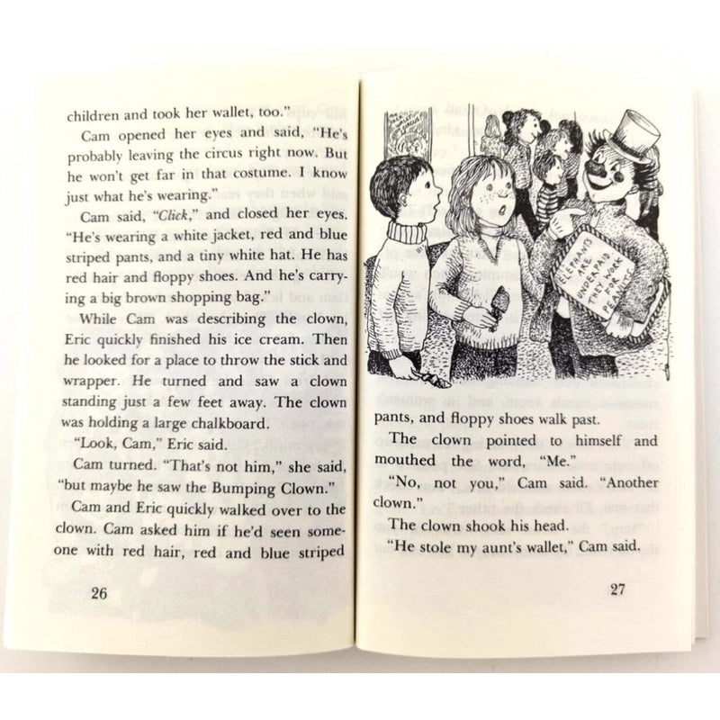 Cam Jansen Mystery Series – Complete Book Collection 34 Books