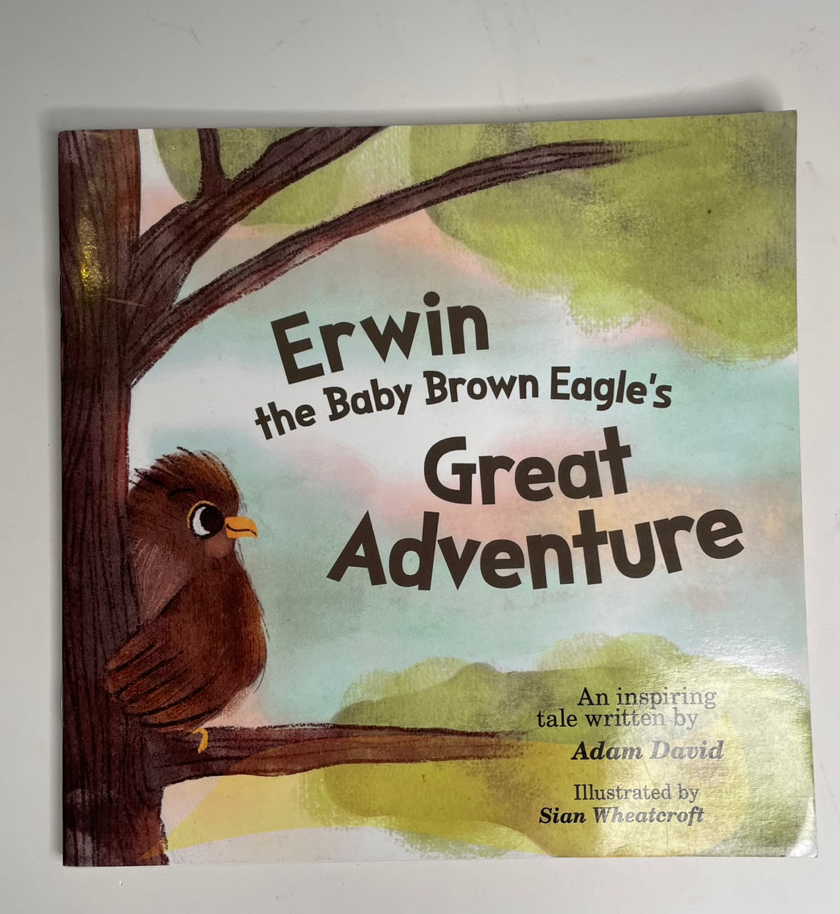 Erwins Great Adventure