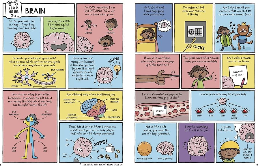 A Day in the Life Series by Mike Barfield – Funny Non-Fiction Books Set-Hardcover