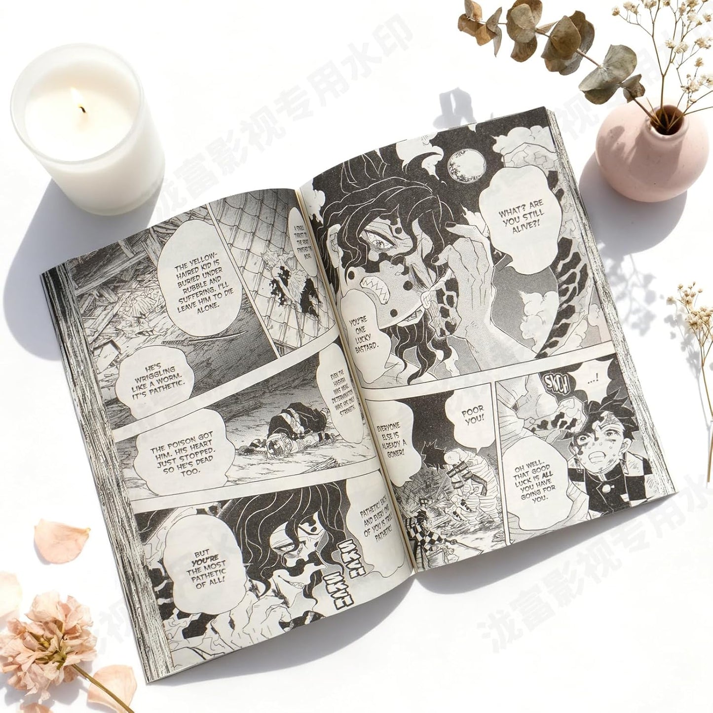 Demon Slayer: Kimetsu no Yaiba Complete Box Set