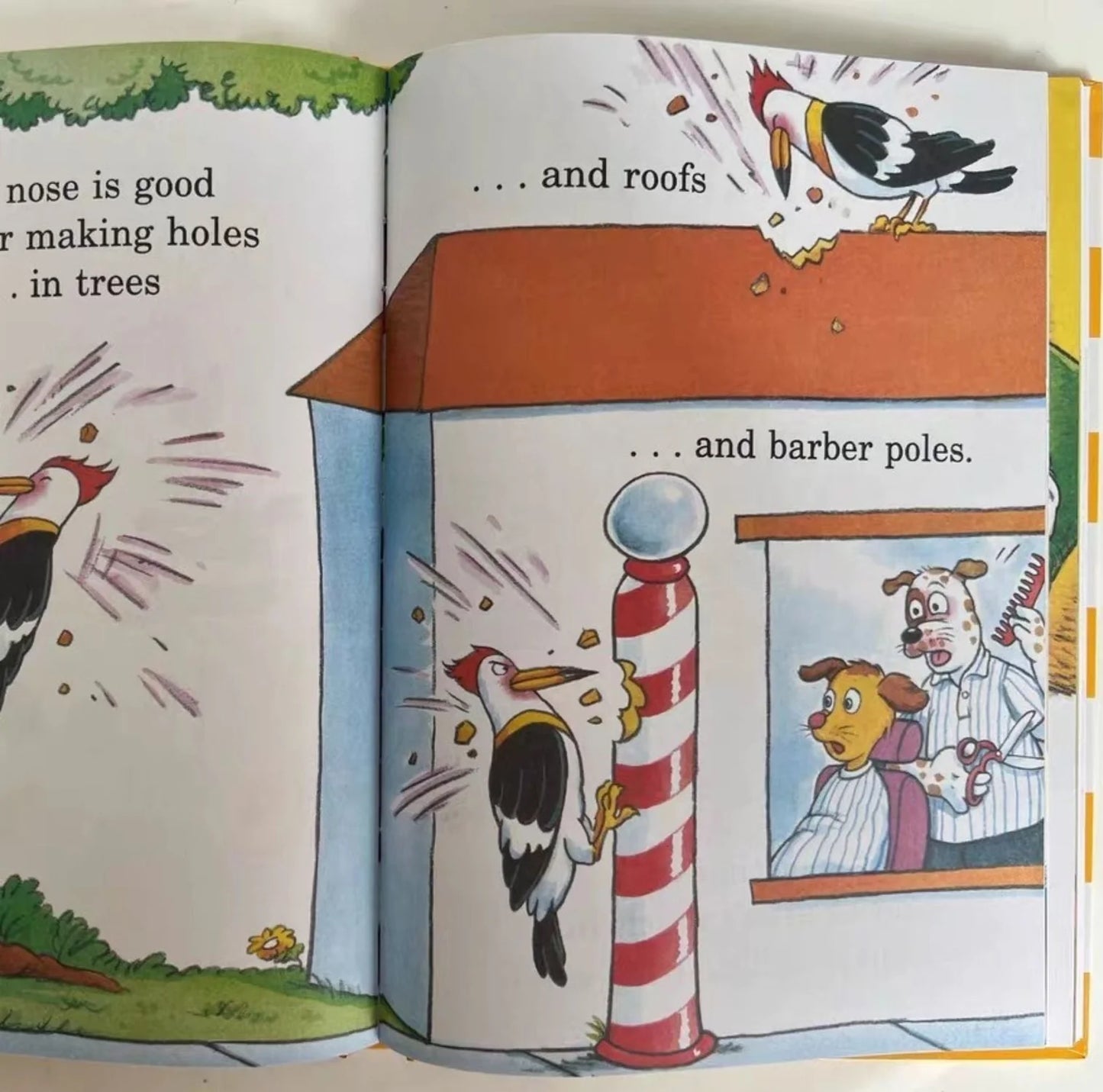 Dr. Seuss Beginner Books (Hardcover)
