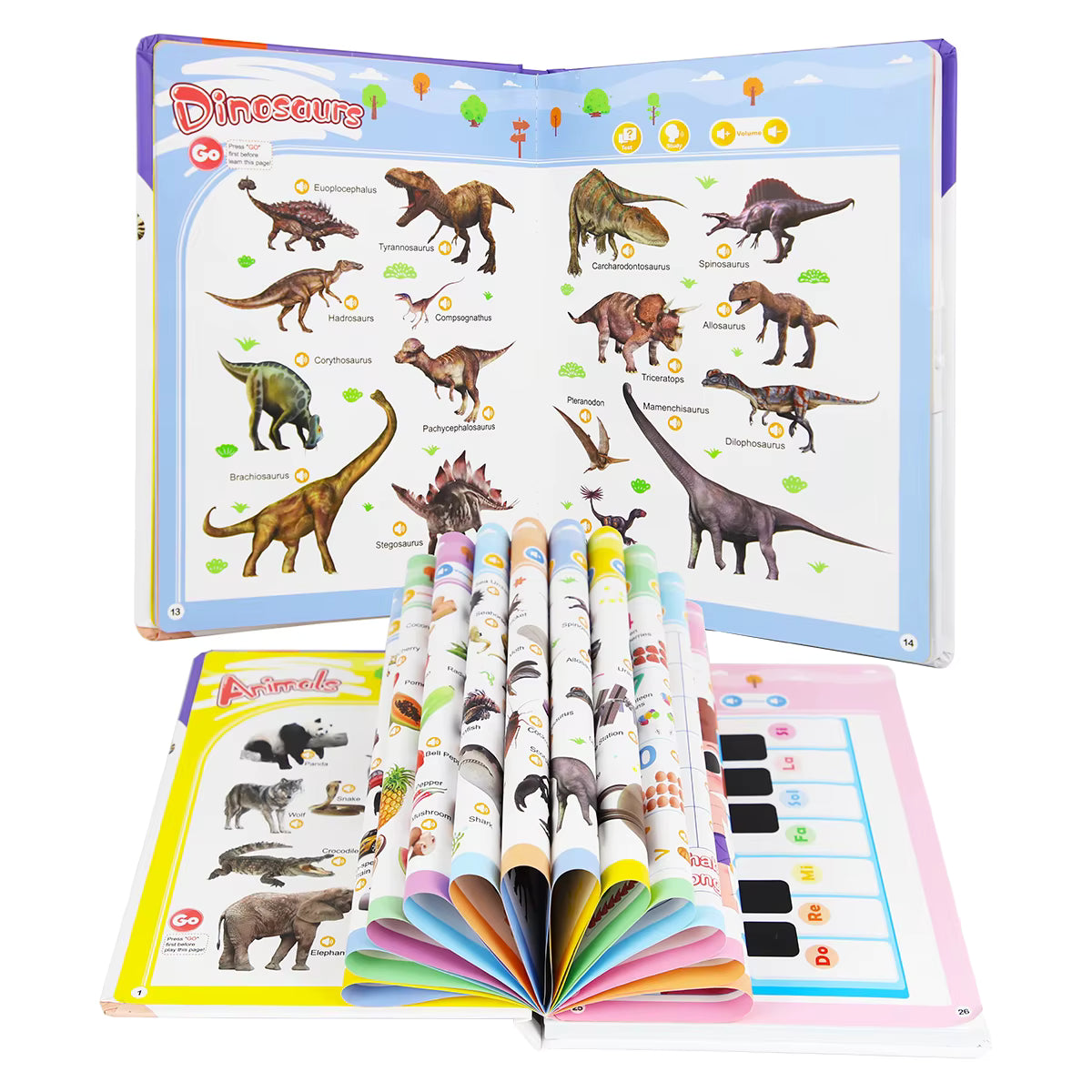 English Words Sound Book (Hardcover)