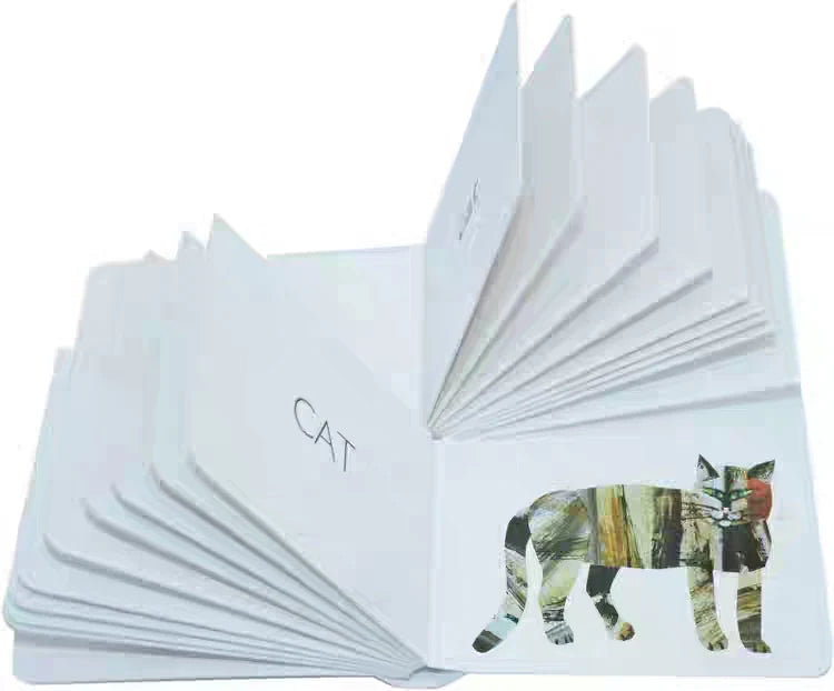 Eric carle My Very First Book of collection (Boardbook)