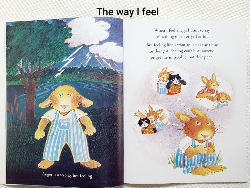 The Way I Feel Collection | Complete Set or Individual Feelings Books | Social Emotional Learning for Children