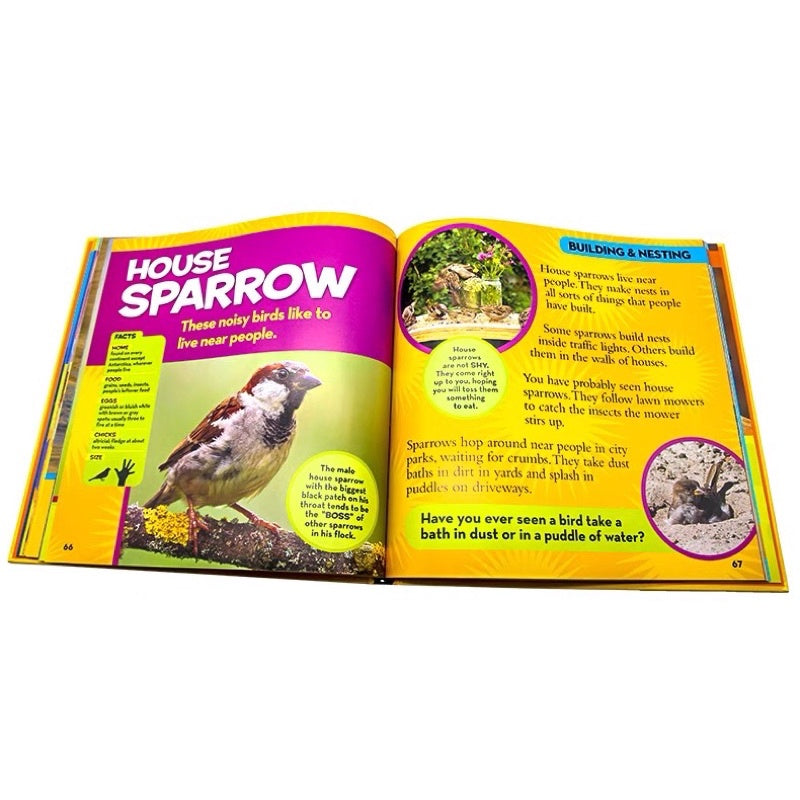 National Geographic First Big Book Collection (Paperback)