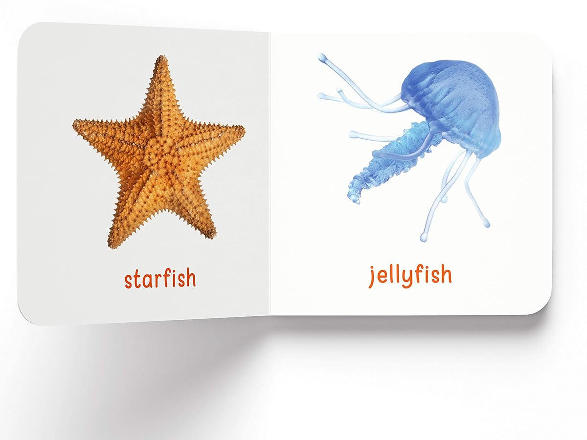 First Library Pack 1 and Pack 2 (Boardbooks)