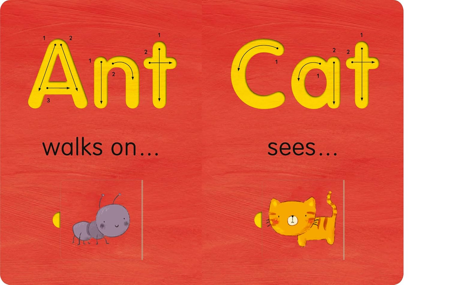 First Words – Trace & Flip Board Book