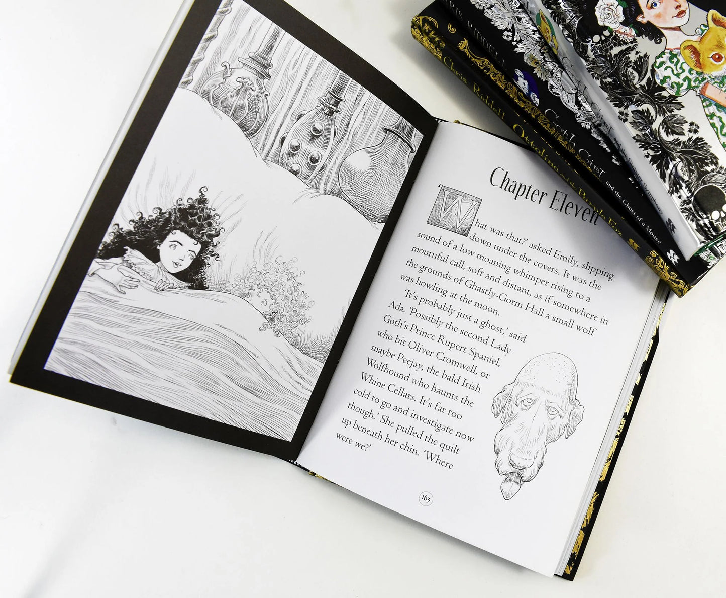 Goth Girl Books Collection by Chris Riddell