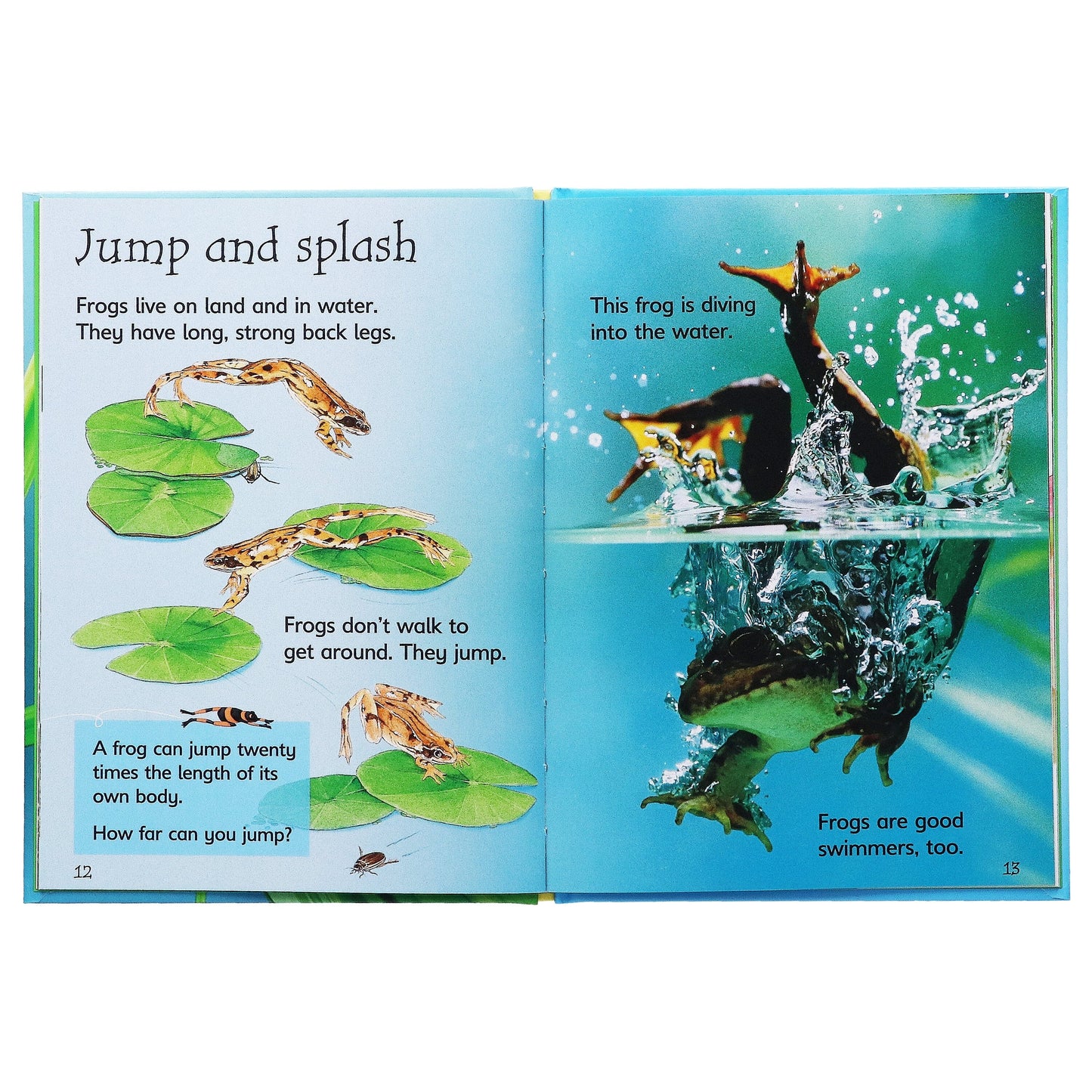 Usborne Beginners Nature Collection (Hardcover) | 10-Book Box Set | Ages 4-7