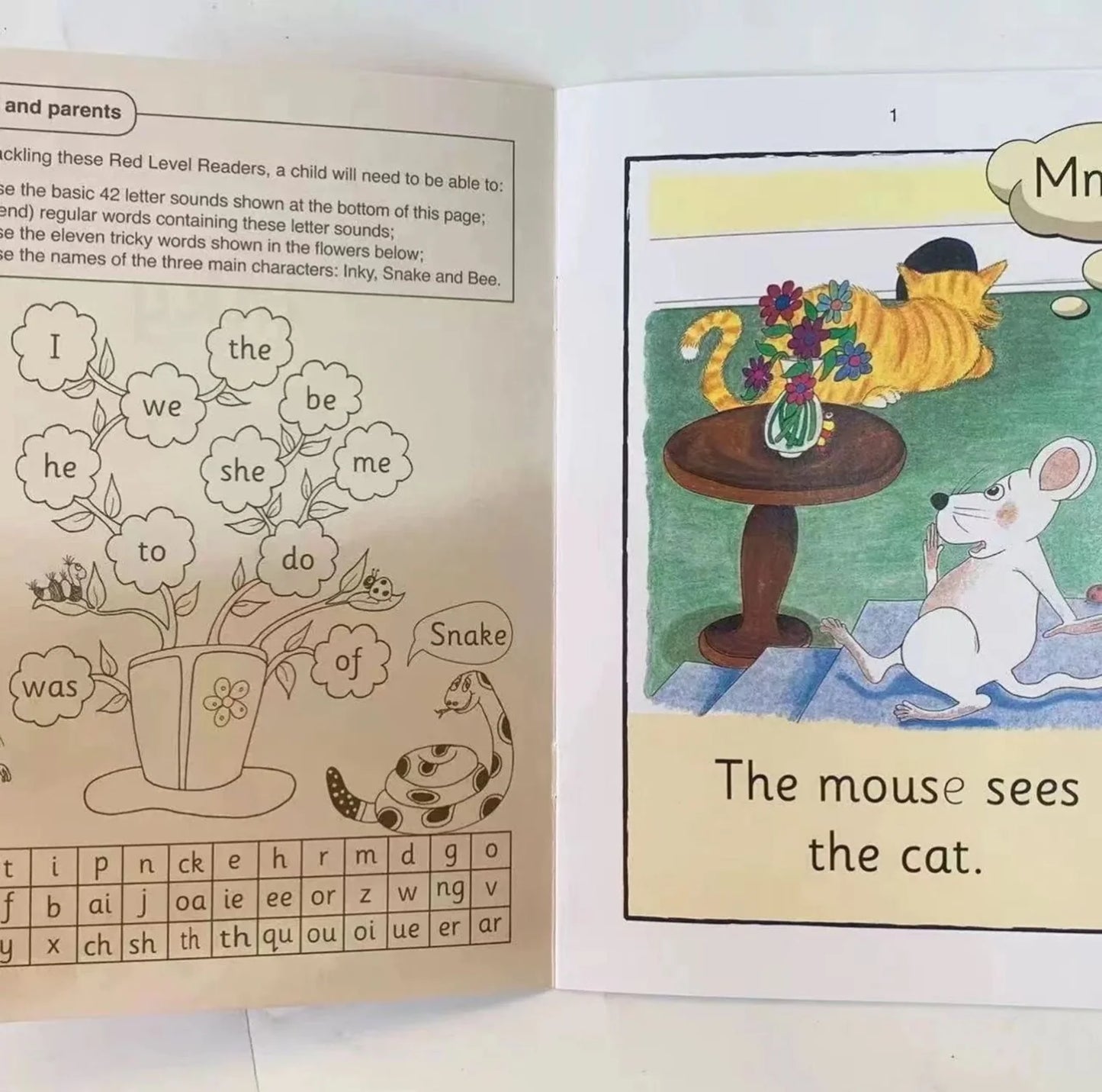 Jolly Phonics (Paperback)