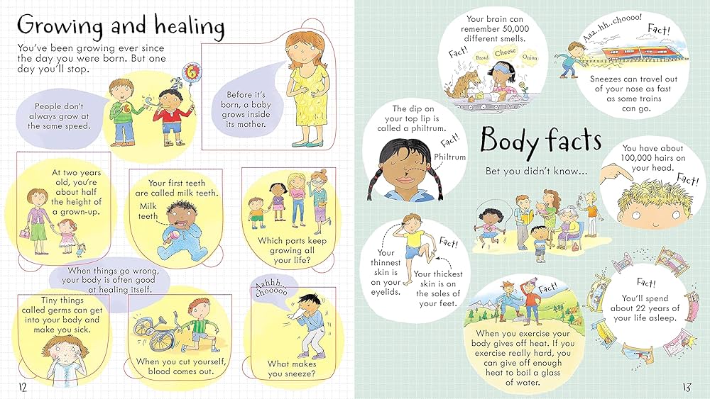 Usborne Look Inside Your Body | Lift-the-Flap Board Book | 100+ Flaps | Children's Human Body Book