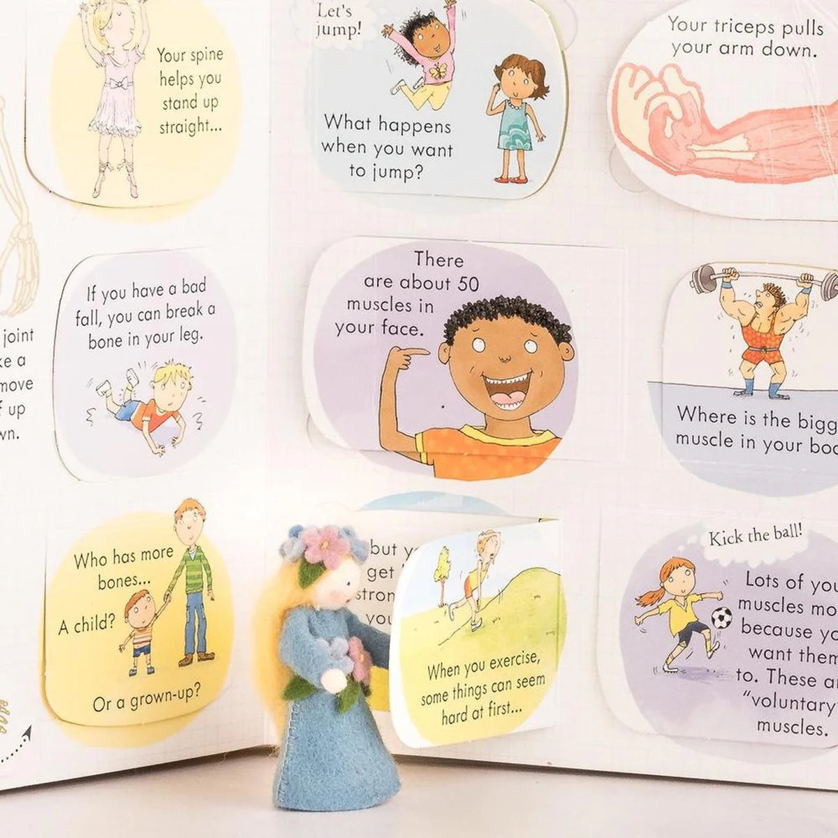 Usborne Look Inside Your Body | Lift-the-Flap Board Book | 100+ Flaps | Children's Human Body Book
