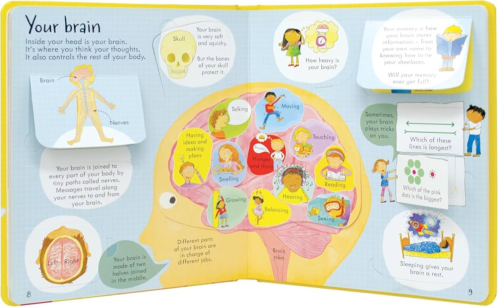 Usborne Look Inside Your Body | Lift-the-Flap Board Book | 100+ Flaps | Children's Human Body Book