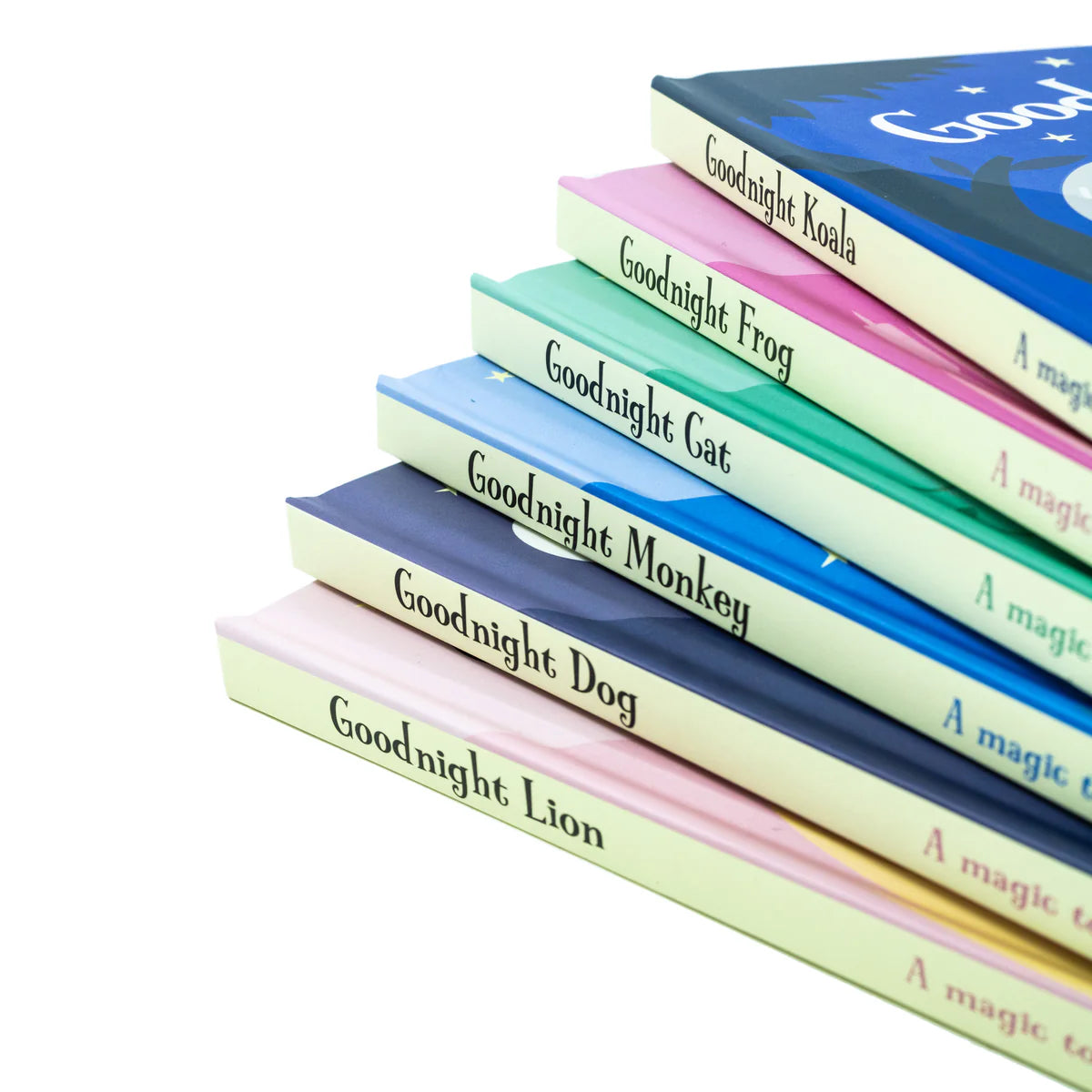 Magic Torch Books (Boardbook)