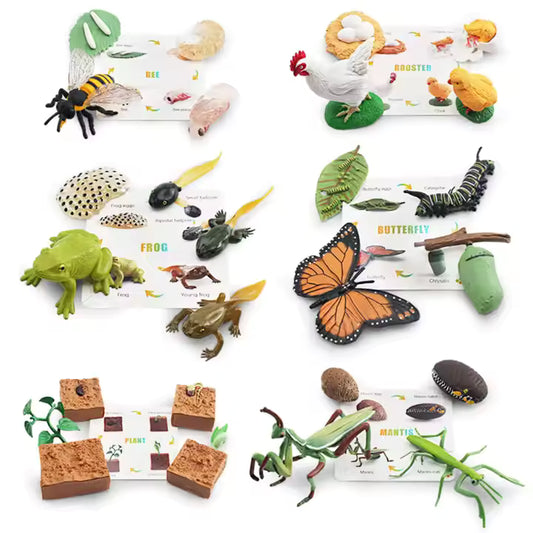 Montessori Animal Life Cycle Figurines with Cards – Learn Frog, Butterfly, Plant, Bee & More