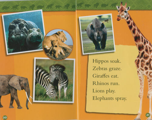National Geographic Kids Pre-Reader Collection | 20 Early Reading Books for Ages 3–6