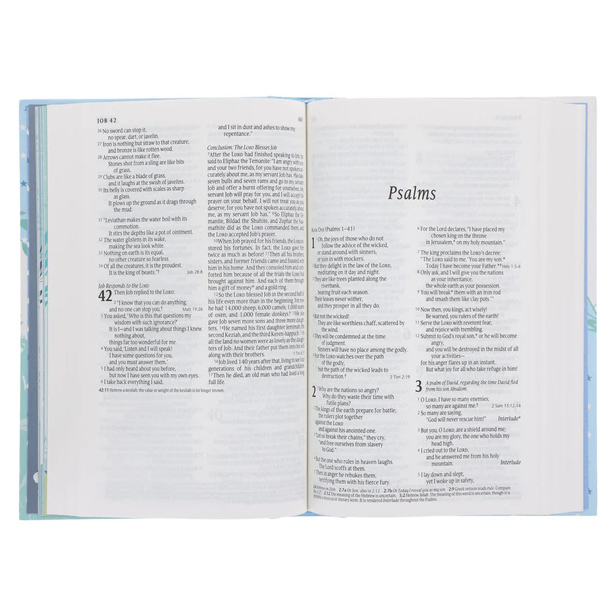 NLT Elephant Hardcover Bible